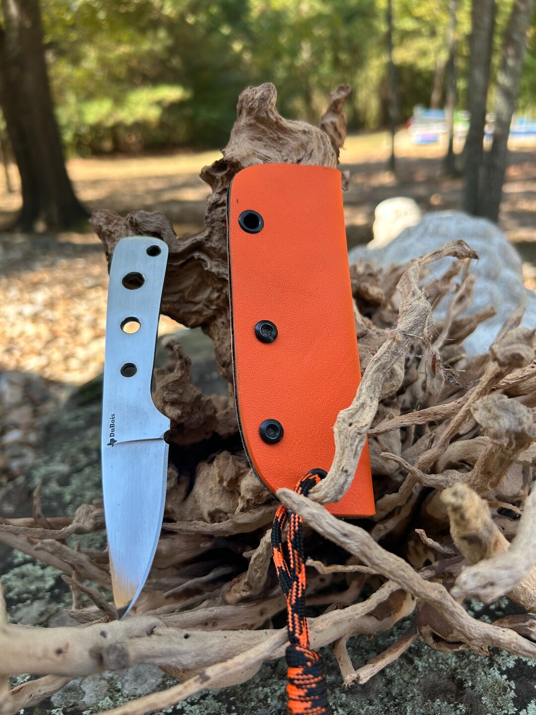 6" Surprise handmade knife No. 79 by Of the Woods Knives